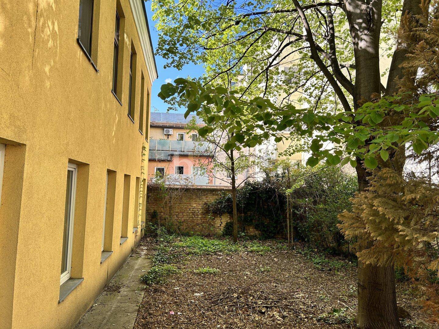 Vernachlässigter Gartenbereich hinter einem Gebäude mit gelber Fassade und altem Baumbestand.