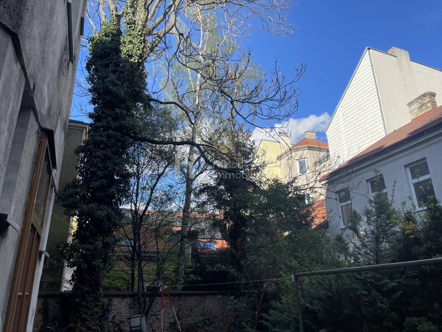 Begrünter Innenhof mit hohen Bäumen und Blick auf die umliegenden Gebäude.