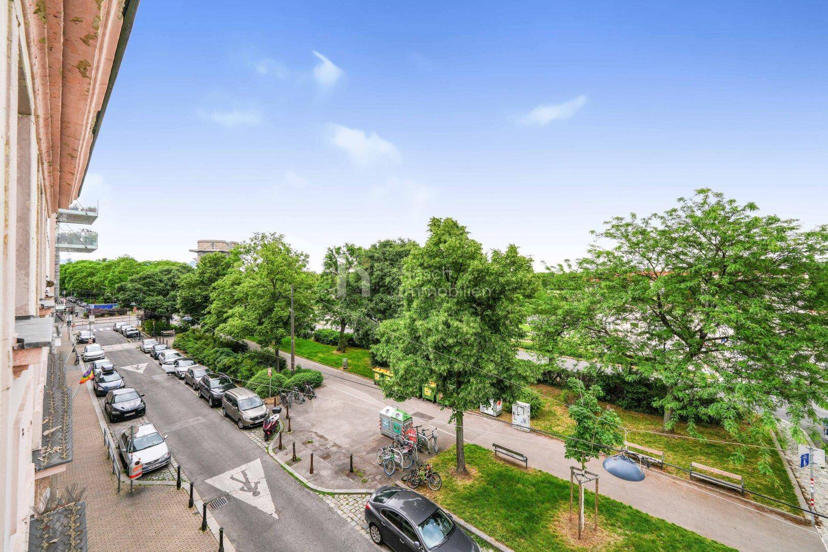 Weitblick über eine grüne Allee mit parkenden Autos und städtischer Umgebung.