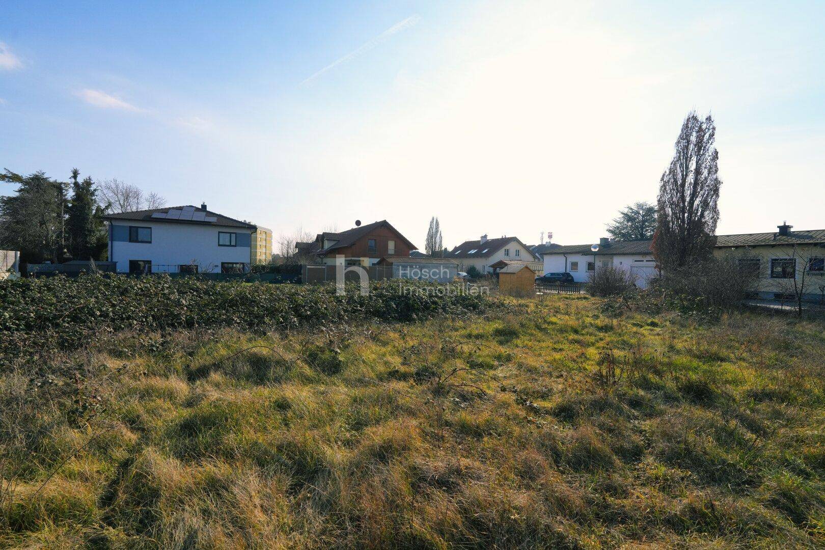 Großes unbebautes Grundstück mit Blick auf die Nachbarschaft und einen hohen Baum am Horizont.