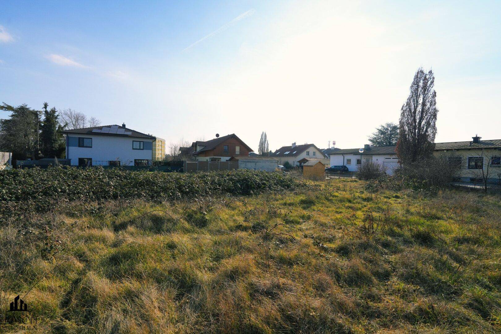 Offenes Grundstück mit Blick auf die umliegende Wohnbebauung und hohe Bäume.