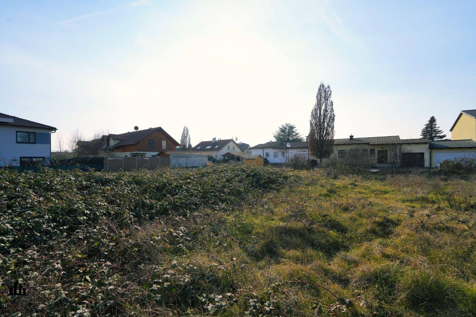 Weitläufiges Grundstück mit dichter Vegetation und umliegenden Einfamilienhäusern.
