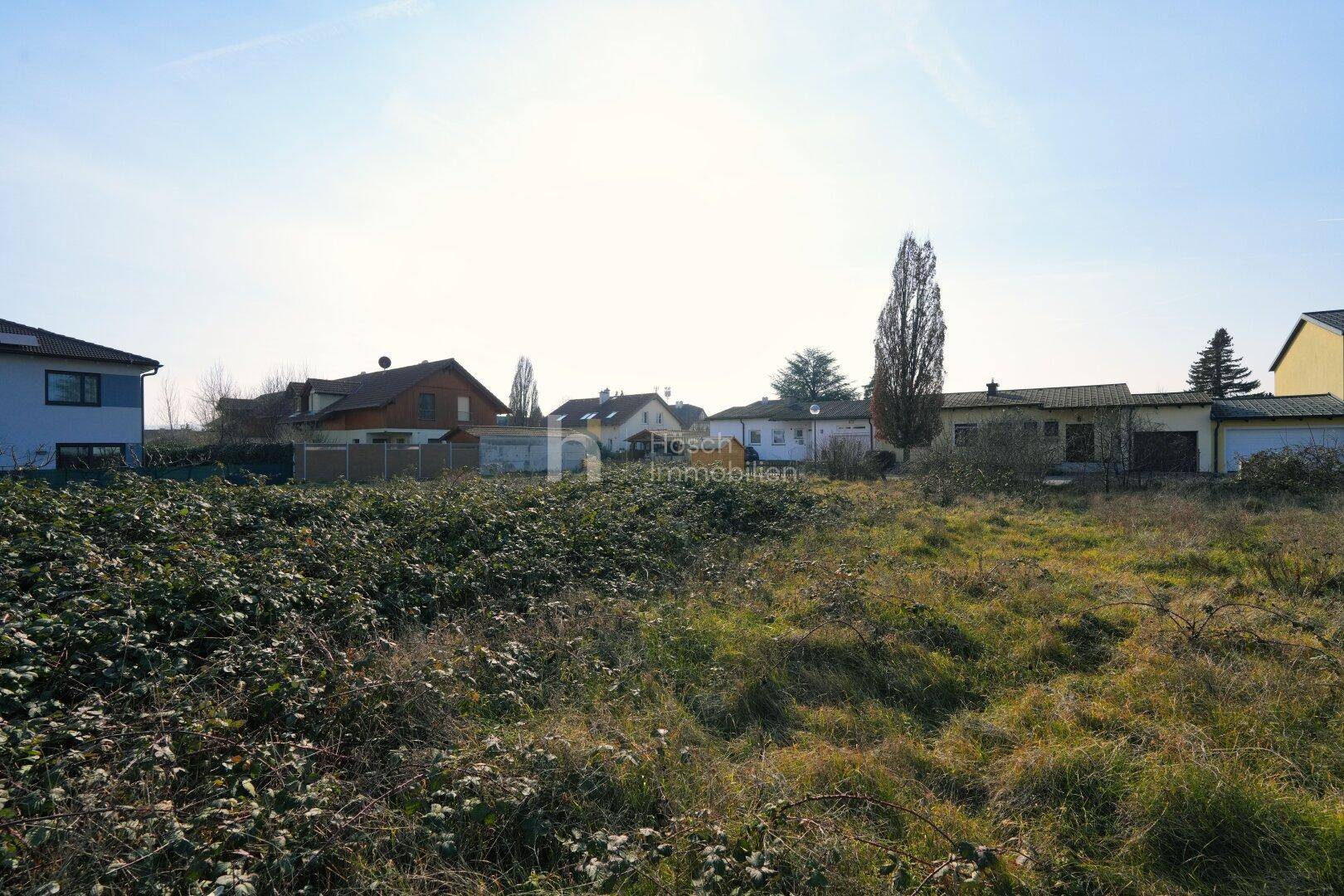 Unbebautes Grundstück mit üppiger Vegetation und umliegenden Wohnhäusern bei sonnigem Wetter.