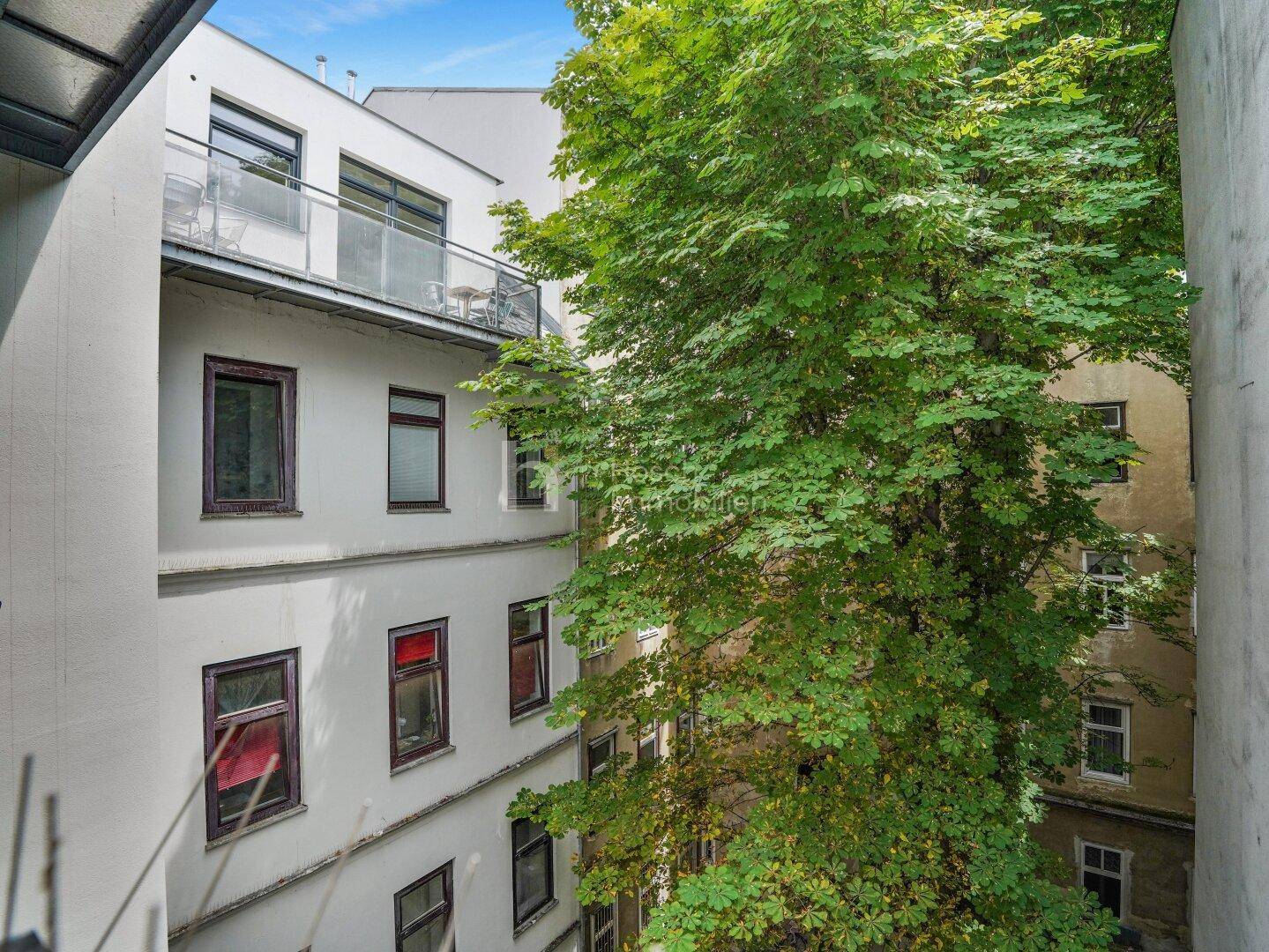 Blick auf einen begrünten Innenhof mit einem großen Baum und Balkonen an der Gebäudefassade.
