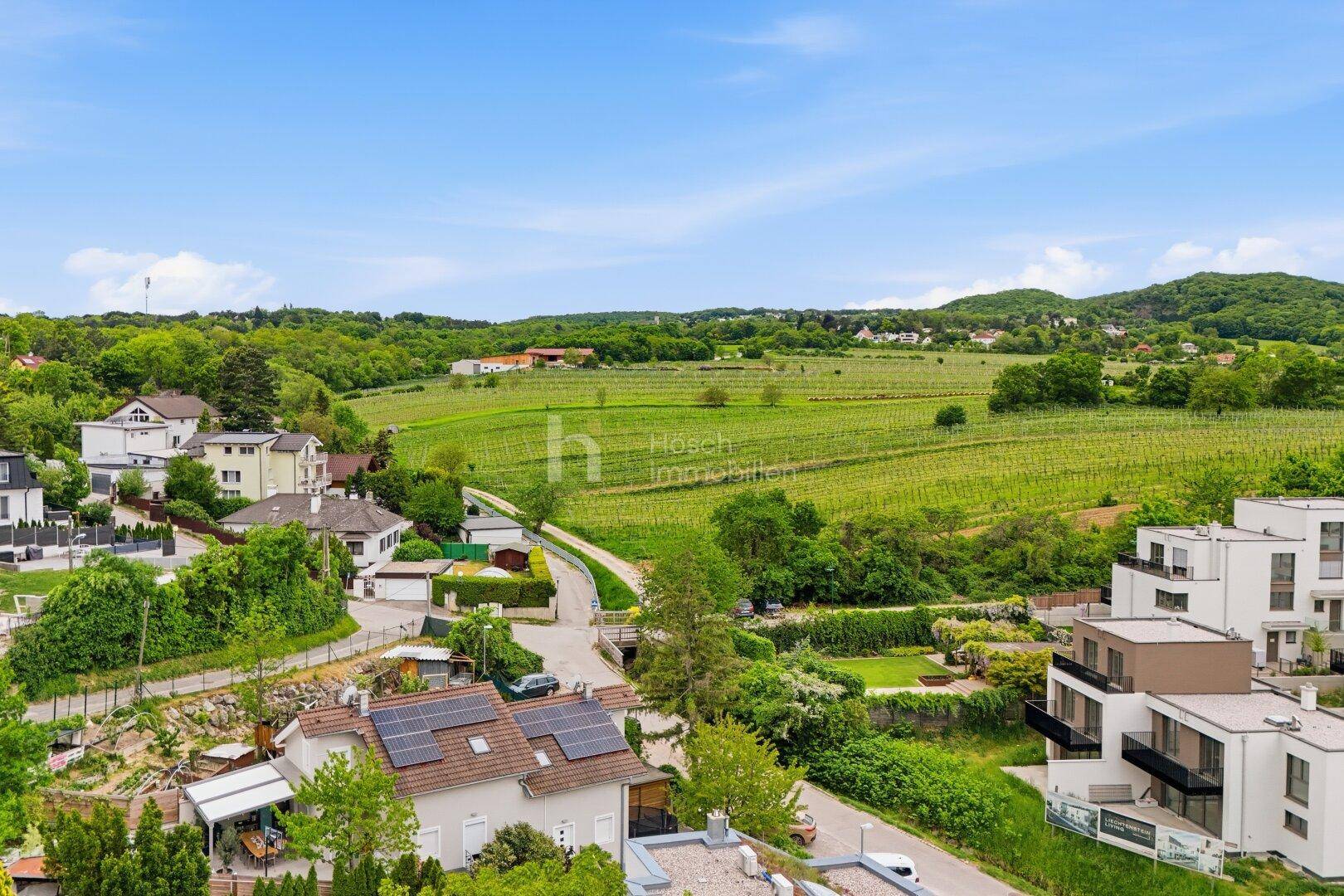 Panoramablick auf die malerische Landschaft mit Weinbergen, grünen Hügeln und vereinzelten Häusern.