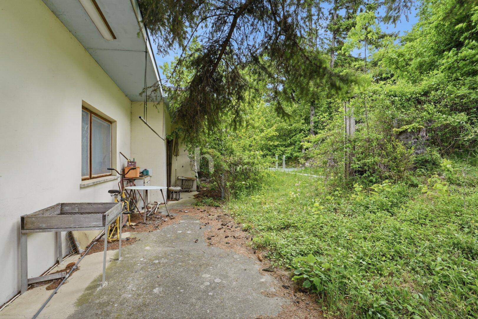 Einfache Terrasse neben dem Haus mit Grill und Blick auf die bewachsene Umgebung.