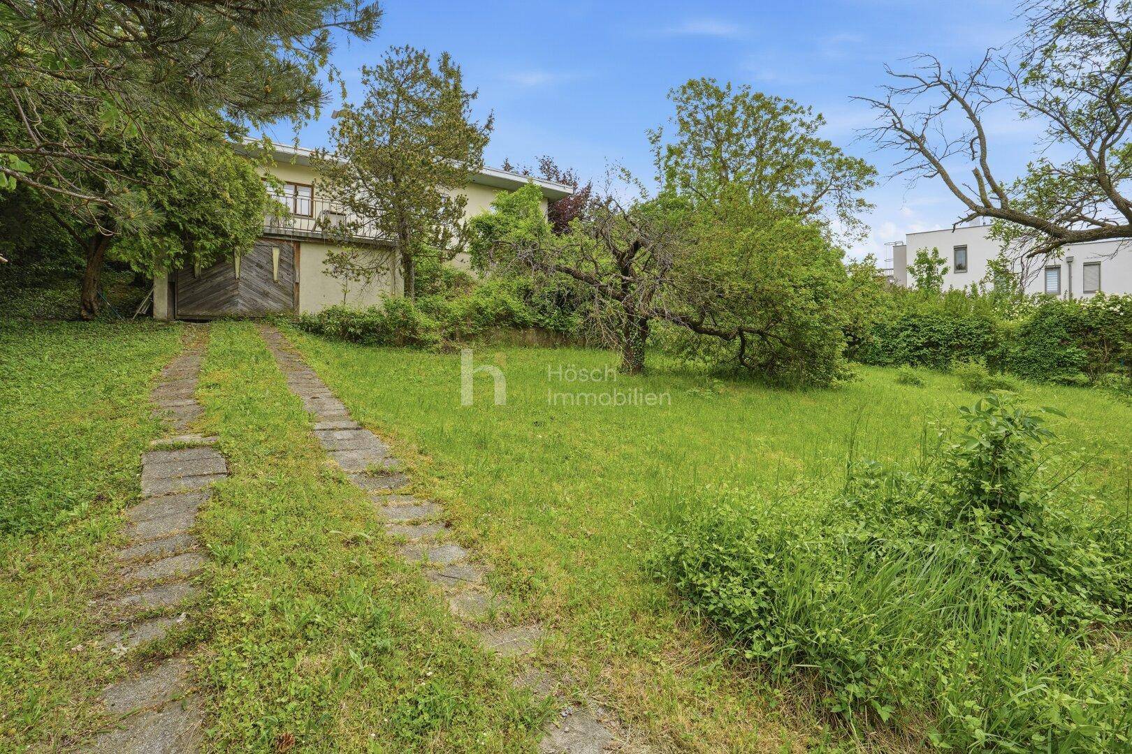 Blick auf den verwilderten Garten mit Zufahrt zum Haus, umgeben von üppigem Grün.