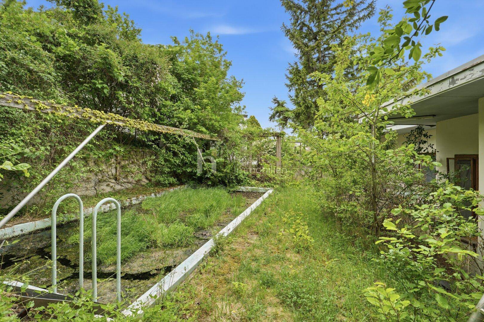Verwilderter und ungenutzter Poolbereich im Garten, umgeben von dichtem Bewuchs.