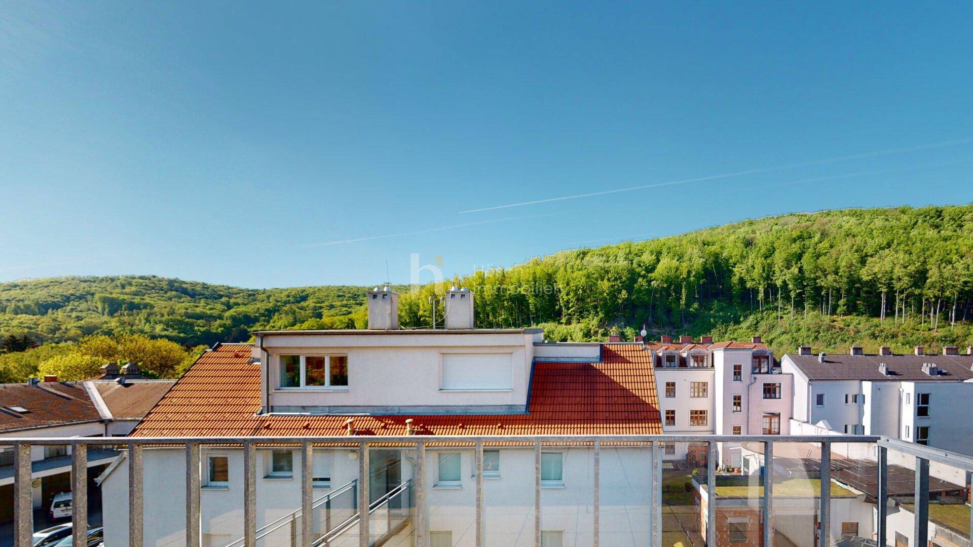 Weitblick von der Terrasse über Dächer und grüne Hügel unter blauem Himmel.