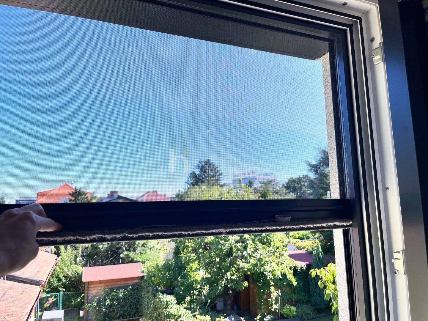 Heller Blick aus dem Fenster auf einen grünen Garten und den weiten blauen Himmel.