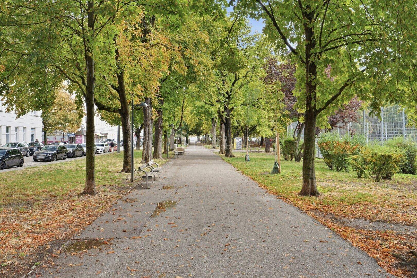 Grüner Parkweg mit Bäumen und Bänken, ideal für Spaziergänge und Erholung im Freien.
