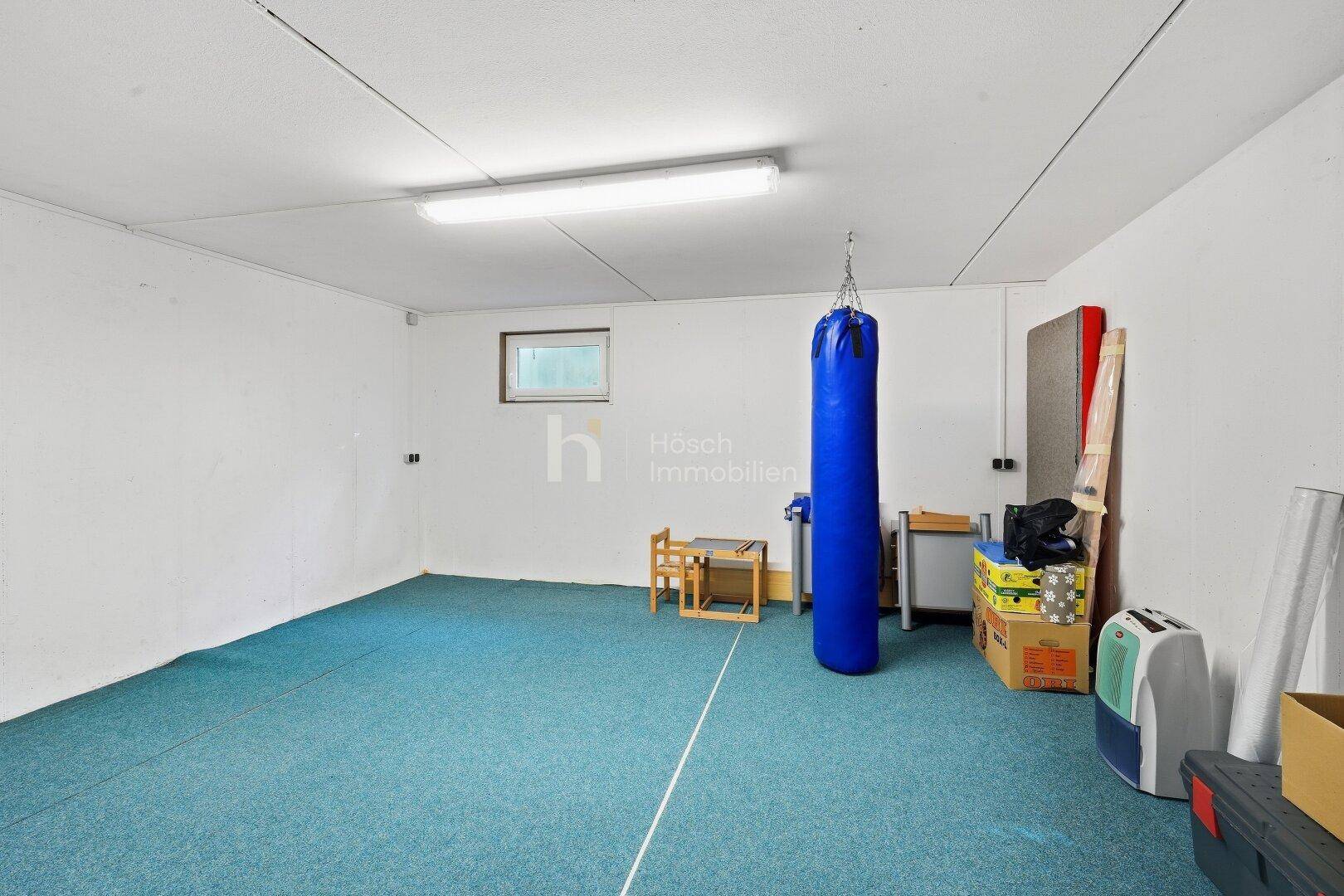 Vielseitiger Kellerraum mit blauem Teppichboden, kleinem Fenster und Sportausrüstung.