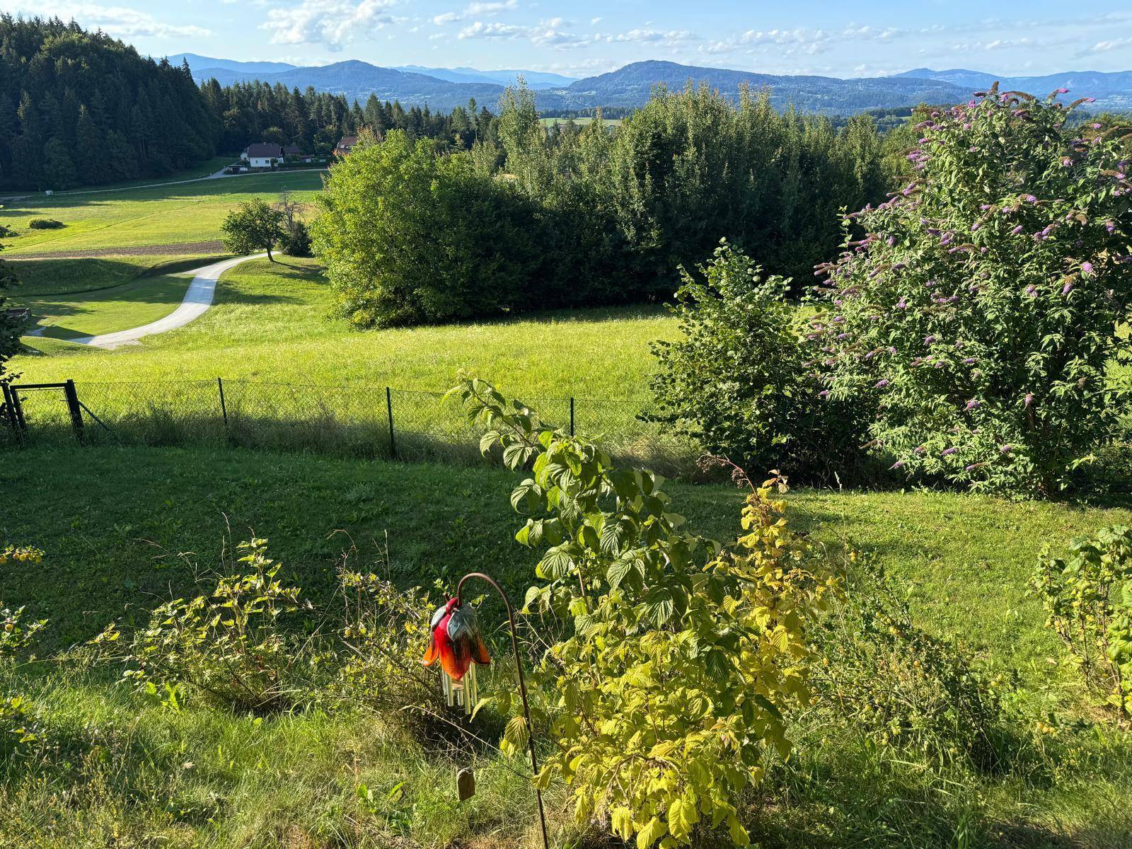 Weitläufige grüne Landschaft mit Feldern und Bäumen, die eine idyllische Aussicht bietet.