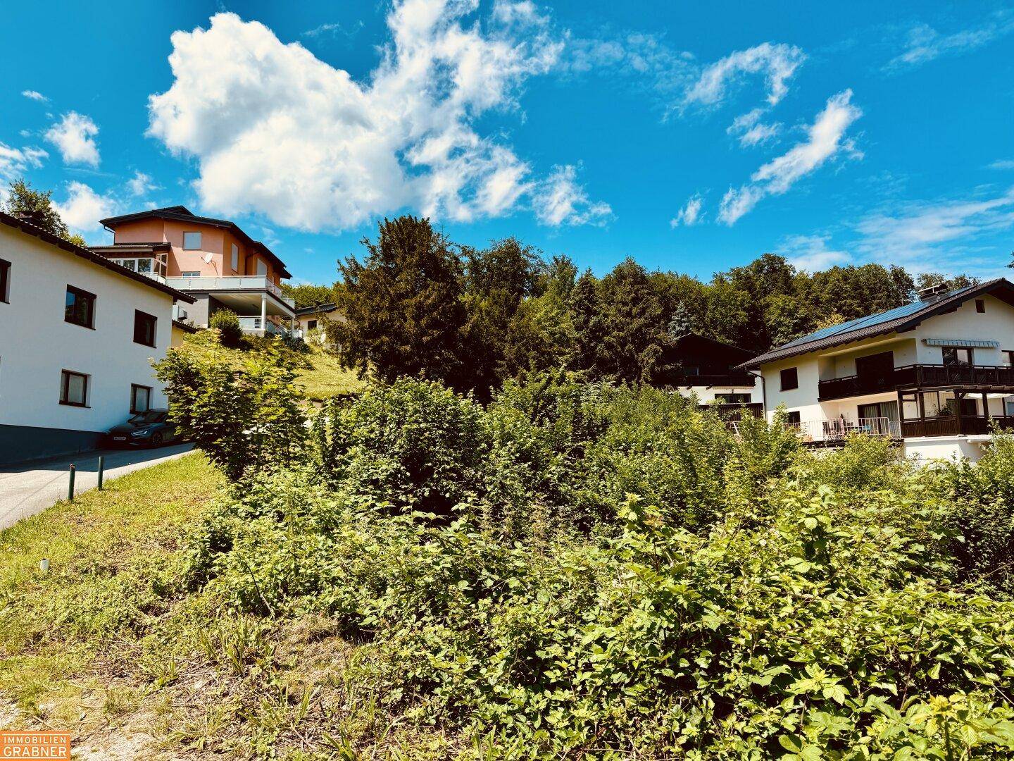 Blick auf ein grünes, unbebautes Grundstück mit angrenzenden Wohnhäusern und bewaldeten Hügeln im Hintergrund.