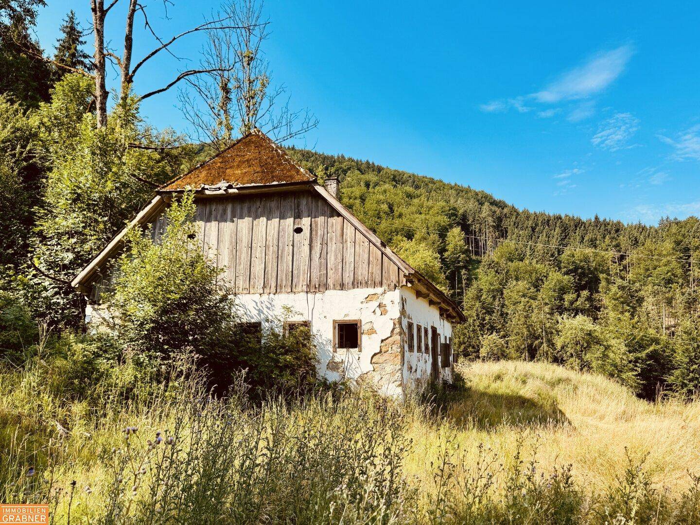 Altes, verfallenes Gebäude mit Holzdach und bröckelndem Putz, umgeben von üppiger Natur.