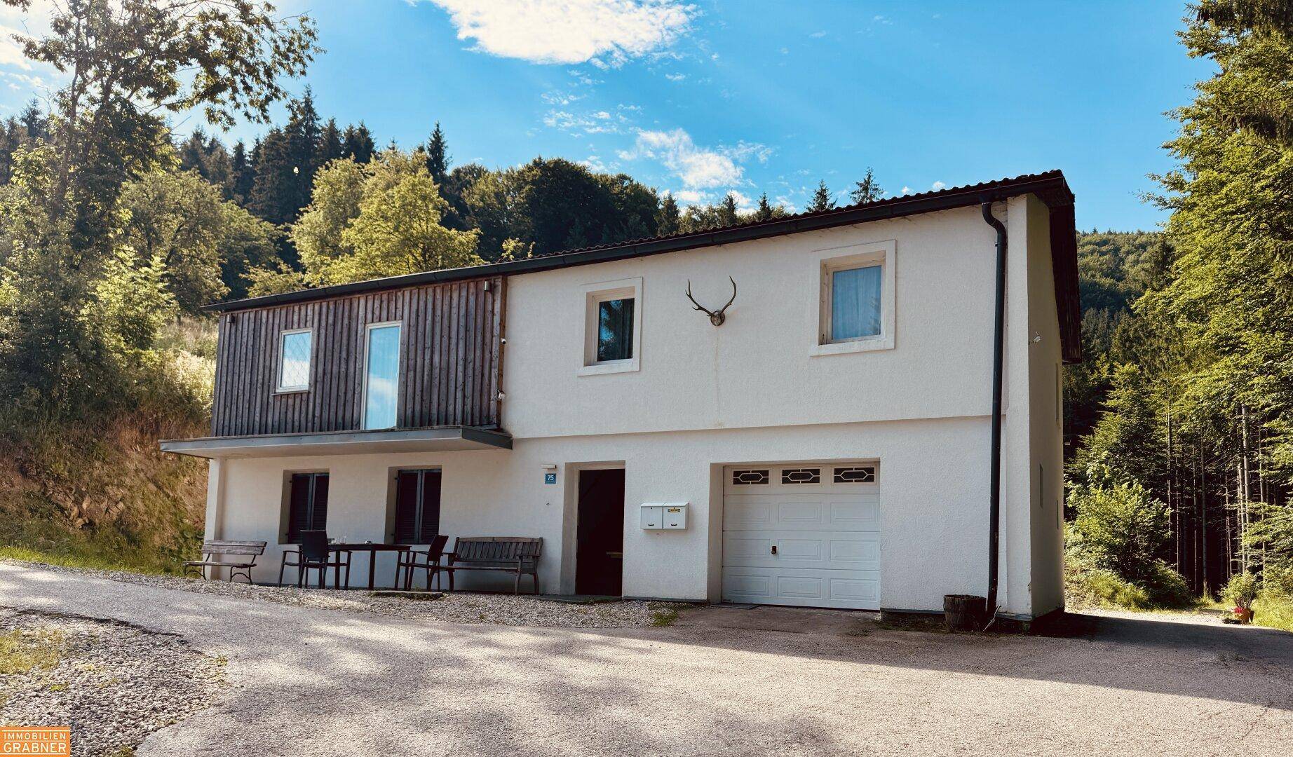 Ländliches Wohnhaus mit weißer Fassade, Holzverkleidung und integrierter Garage, umgeben von Wald.