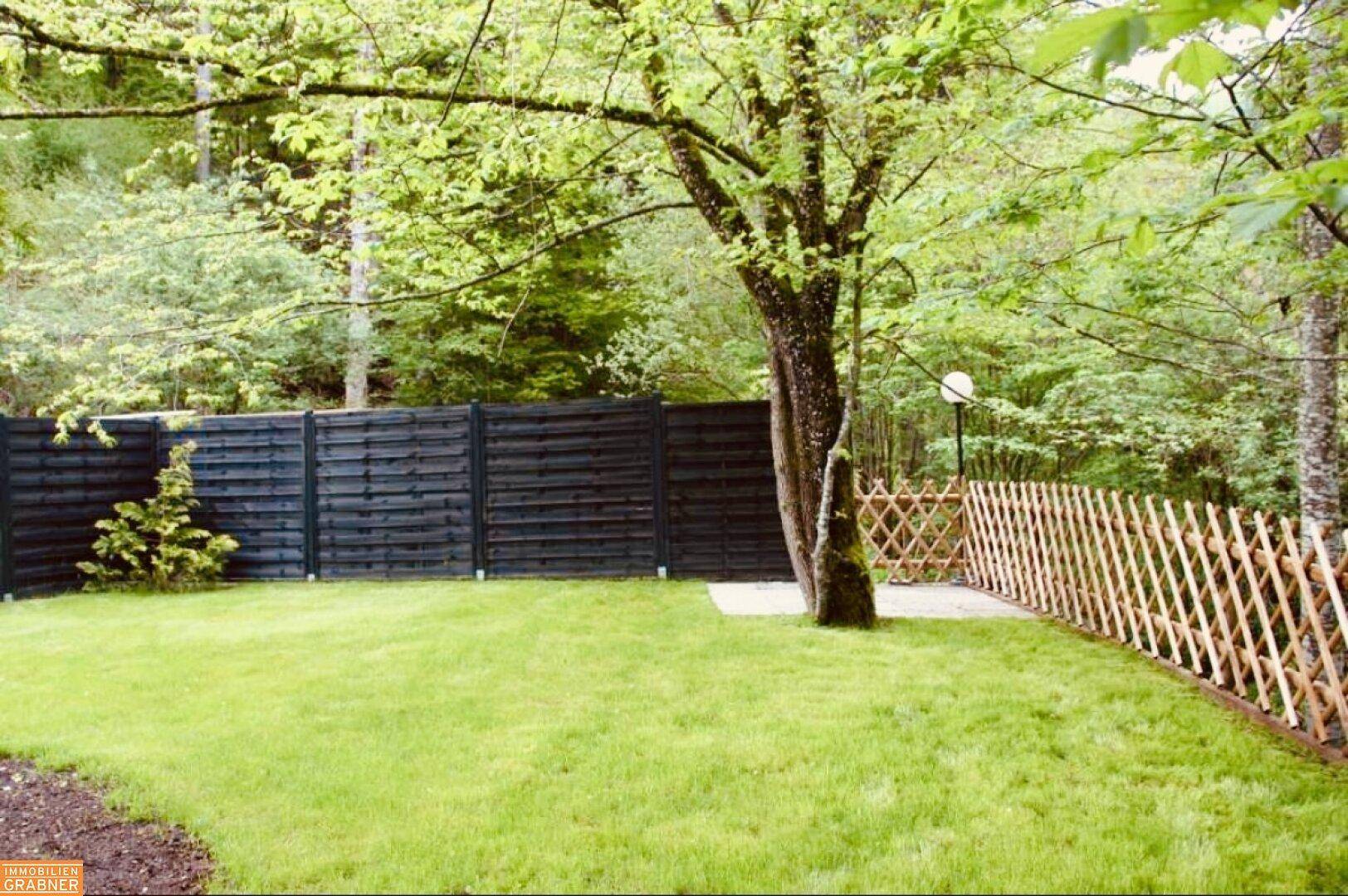 Gepflegter Rasenbereich mit Baum und Holzzaun, umgeben von dichtem Wald.