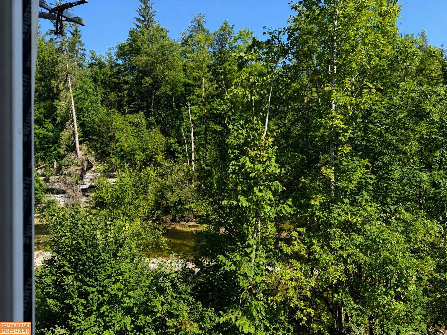 Idyllischer Blick aus dem Fenster auf üppiges Grün und einen ruhigen Flusslauf.
