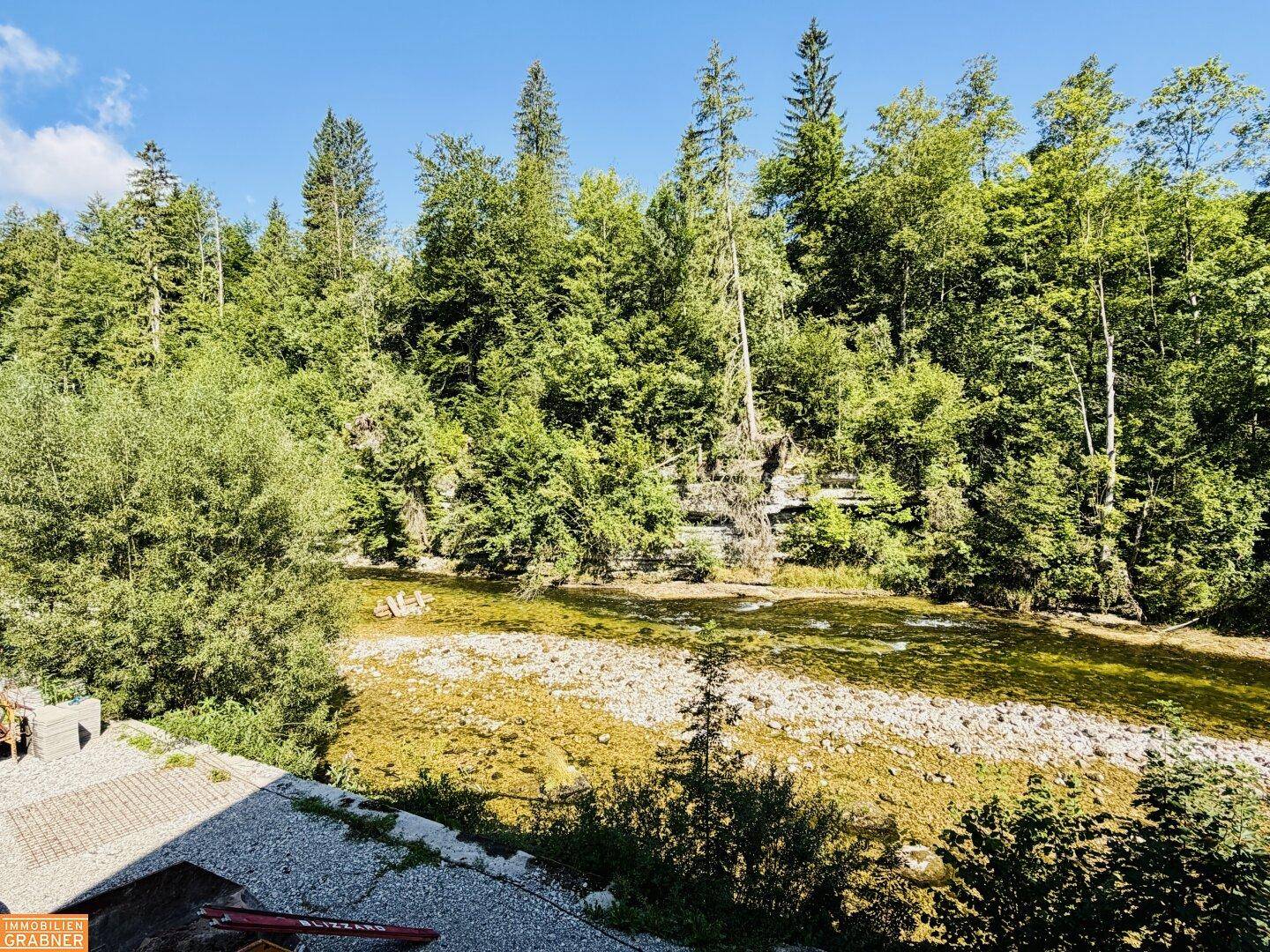 Malerischer Flusslauf umgeben von dichtem Wald und üppiger Natur an einem sonnigen Tag.