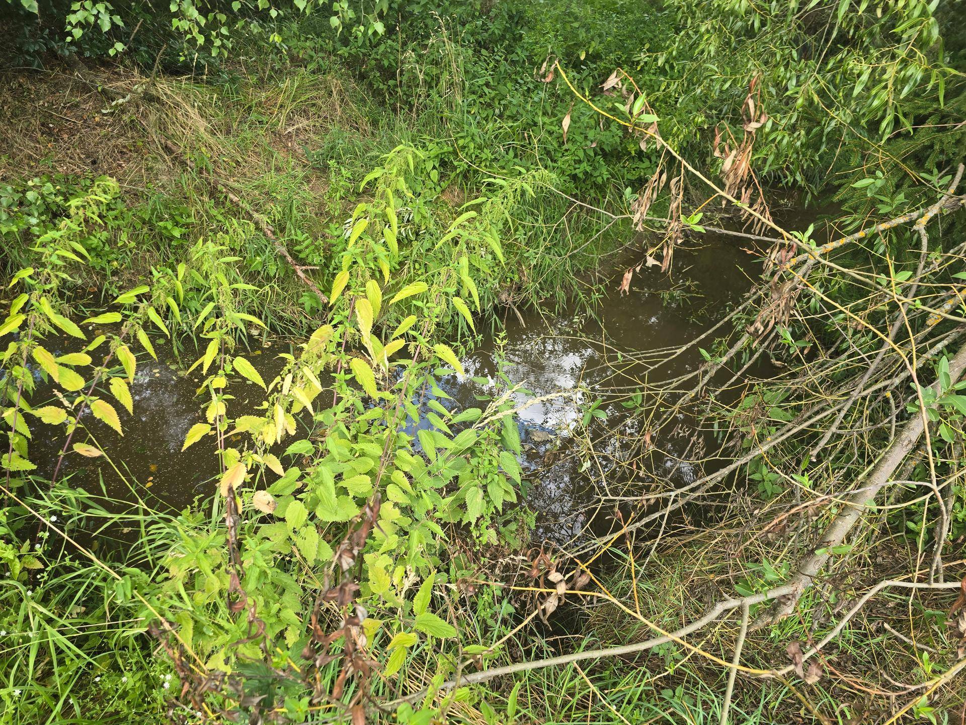 Blick auf einen schmalen Bach mit üppiger Ufervegetation und reflektierendem Himmel im Wasser.