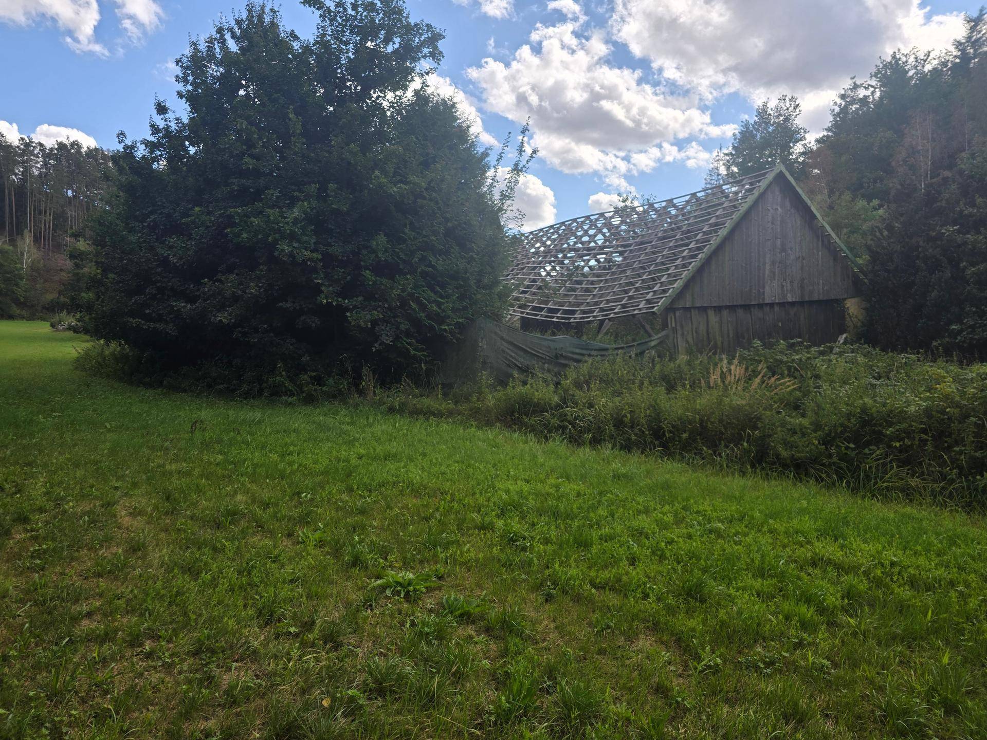 Altes Holzgebäude mit offenem Dachstuhl, umgeben von einer Wiese und Waldrand.