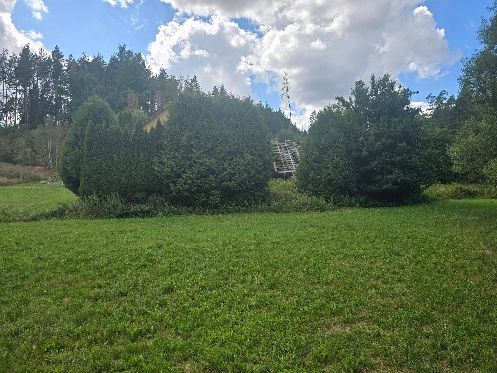 Weitläufige grüne Wiese mit Bäumen und einem Blick auf das teilweise verdeckte Gebäude im Hintergrund.