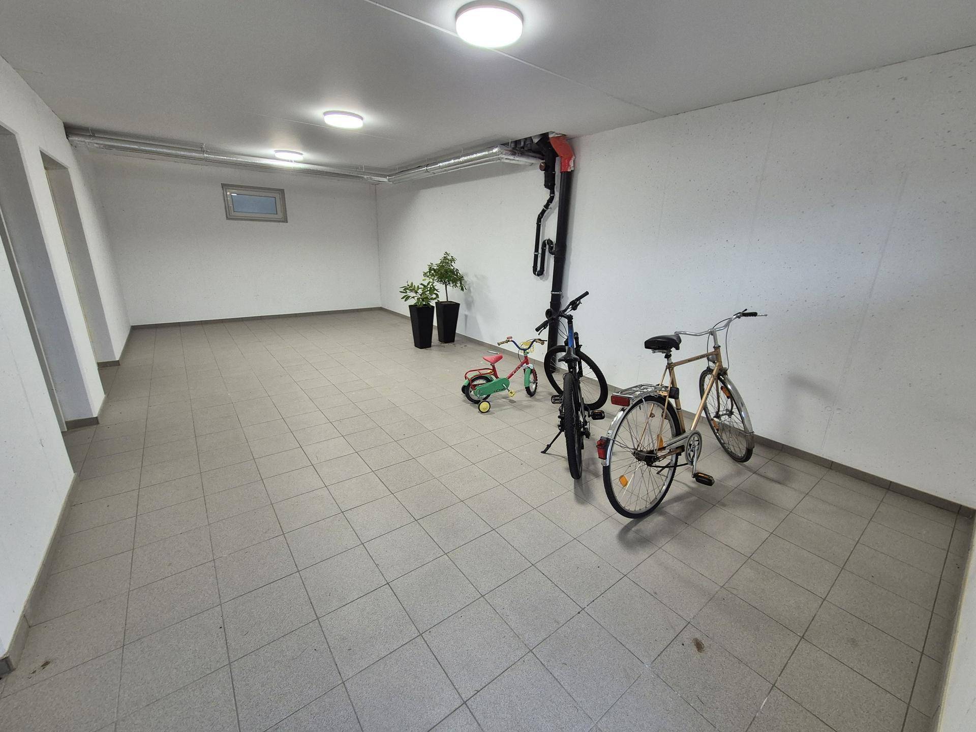 Geräumiger Fahrradraum im Untergeschoss mit Abstellmöglichkeiten für mehrere Fahrräder.