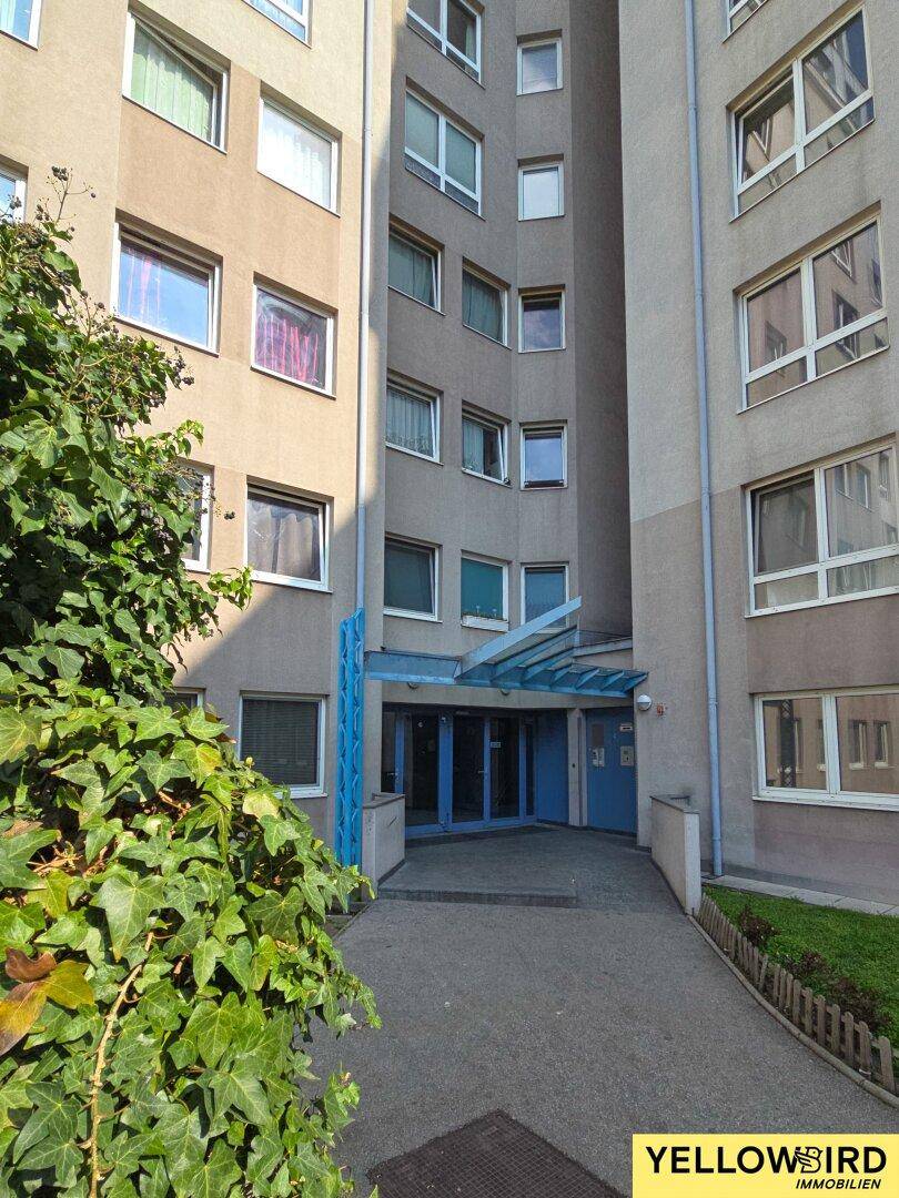 Eingangsbereich eines Mehrfamilienhauses mit blauer Überdachung und viel Grün.