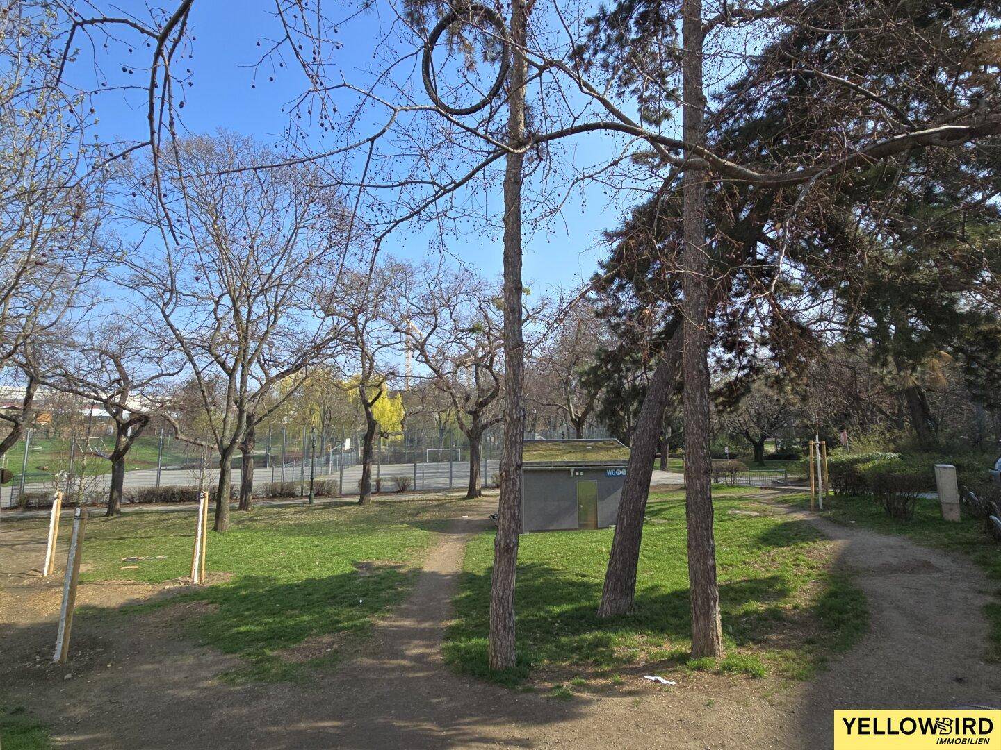 Parkähnliche Grünfläche mit Bäumen, Wegen und Sportplatz im Hintergrund.