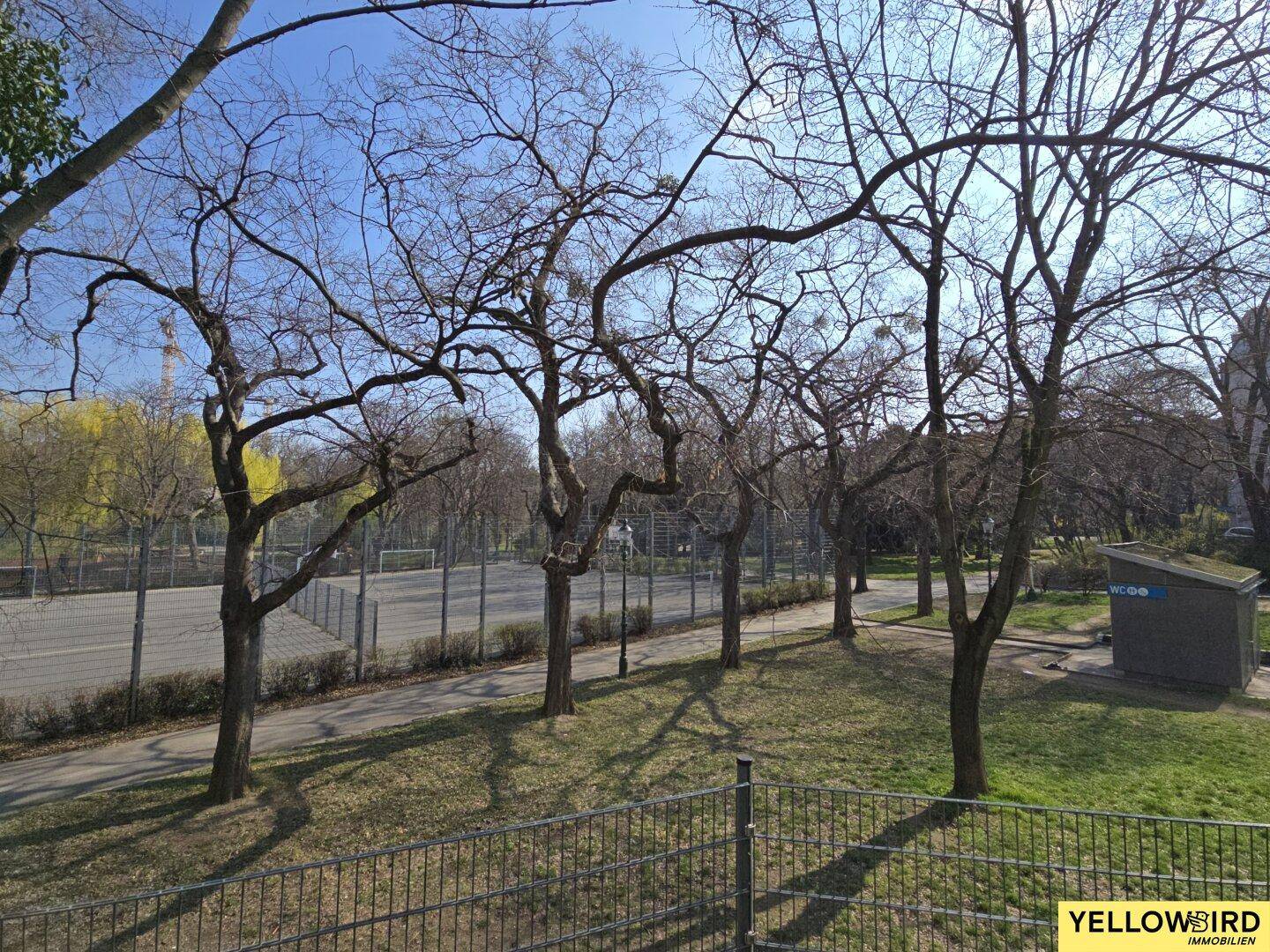 Weitläufige Grünanlage mit vielen Bäumen und einem eingezäunten Sportplatz.