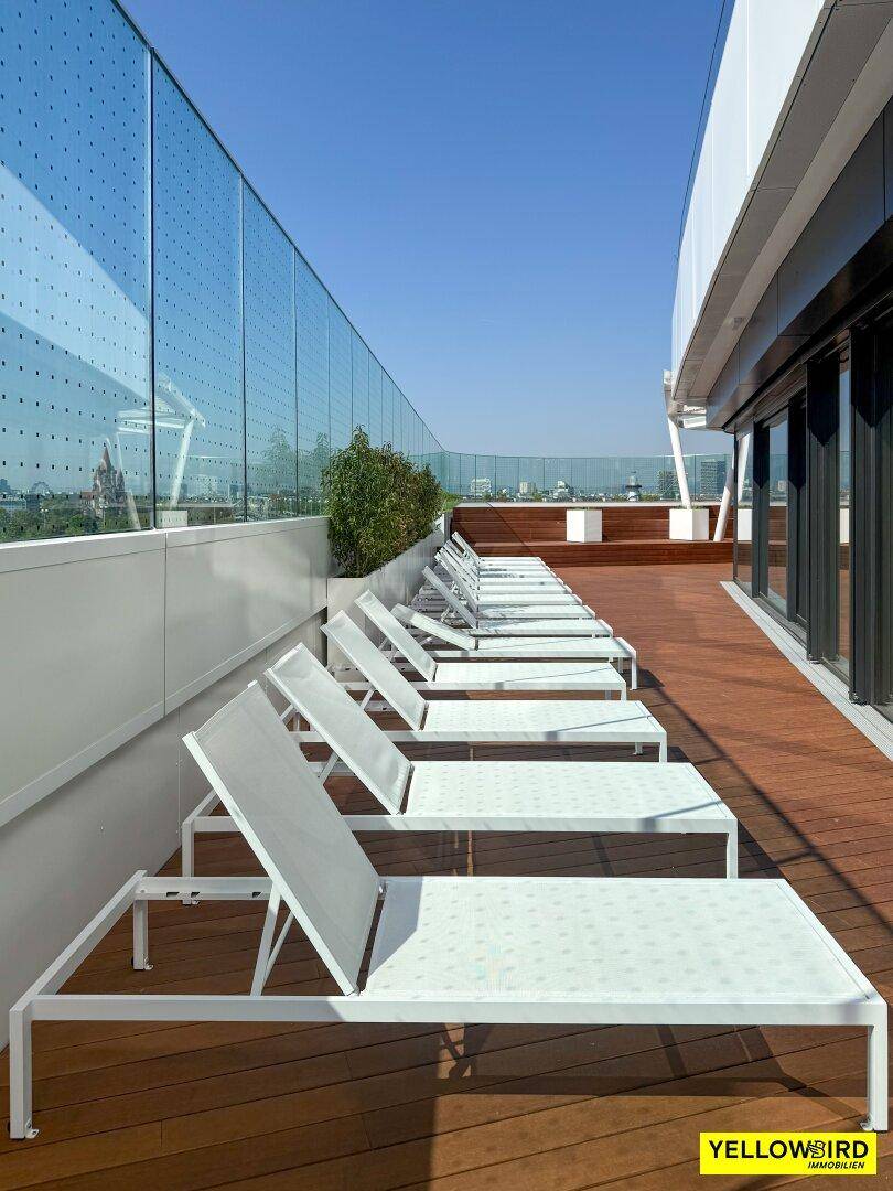 Pooldeck