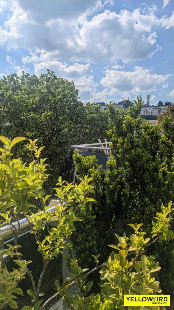 Blick von der Terrasse
