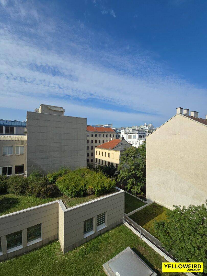 Ausblick