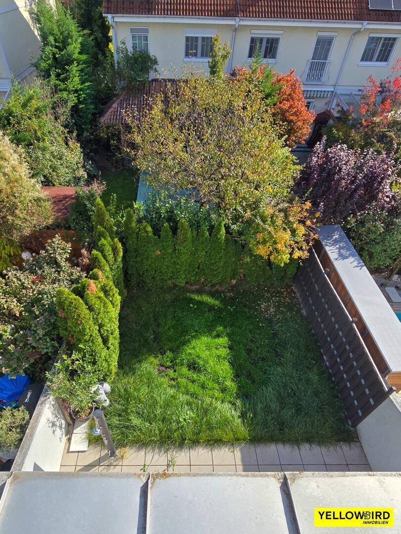 Blick in den Garten
