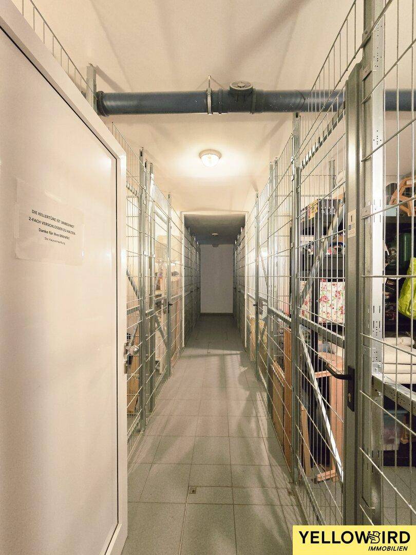 Geräumiger Kellerraum mit Gitterboxen für zusätzlichen Stauraum im Untergeschoss.