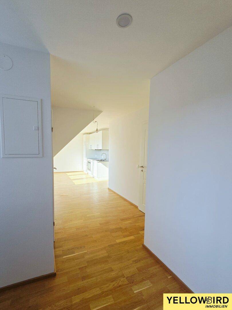 Heller Flur mit Holzboden, der zu weiteren Räumen und der Küche führt.