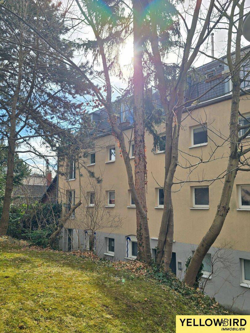 Außenansicht des Gebäudes mit grünem Gartenbereich und hohen Bäumen.