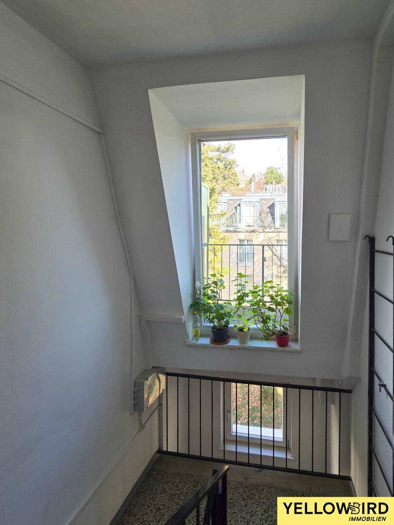 Heller Treppenaufgang mit Fenster und Blick ins Grüne.