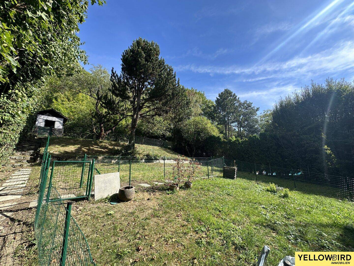 Großer, sonniger Garten mit Bäumen, Rasenfläche und einem kleinen Gartenhaus.