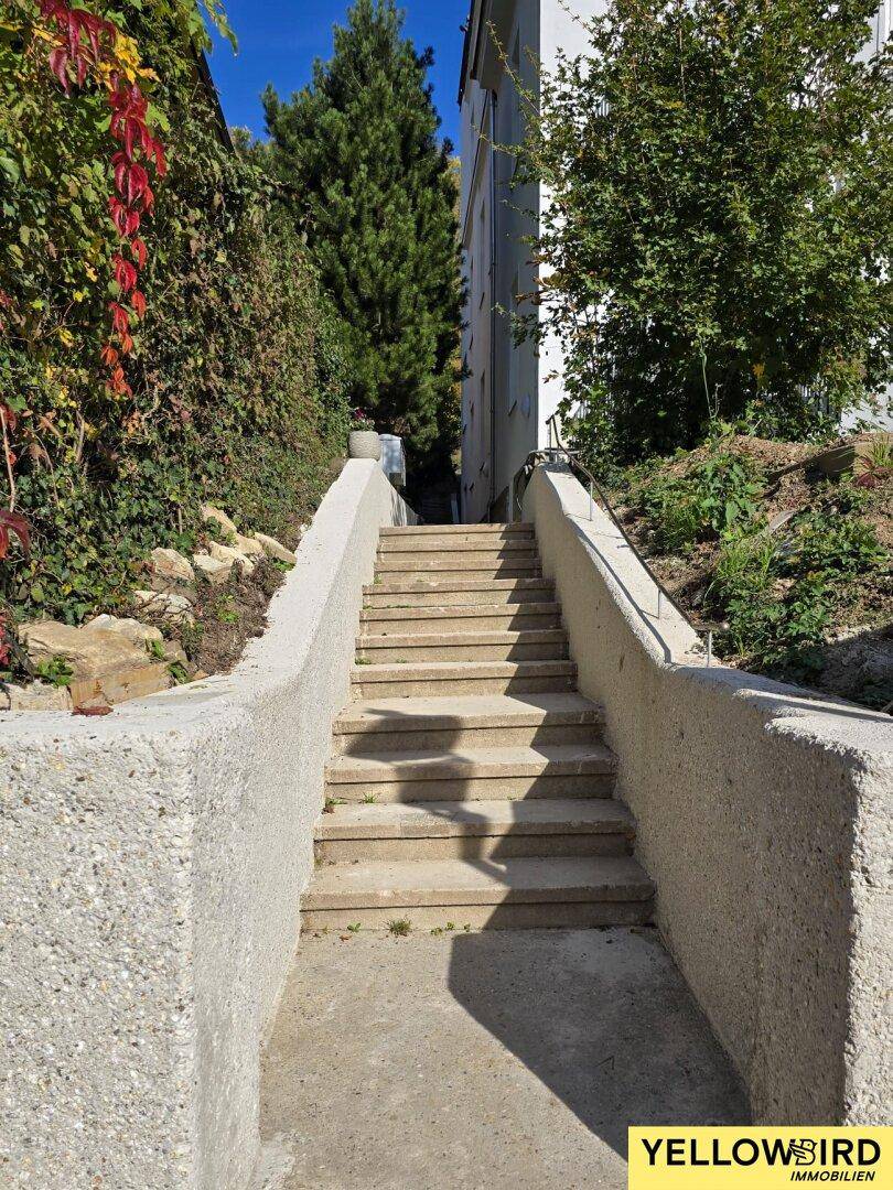 Außentreppe aus Beton, umgeben von üppigem Grün und bewachsenen Hängen.