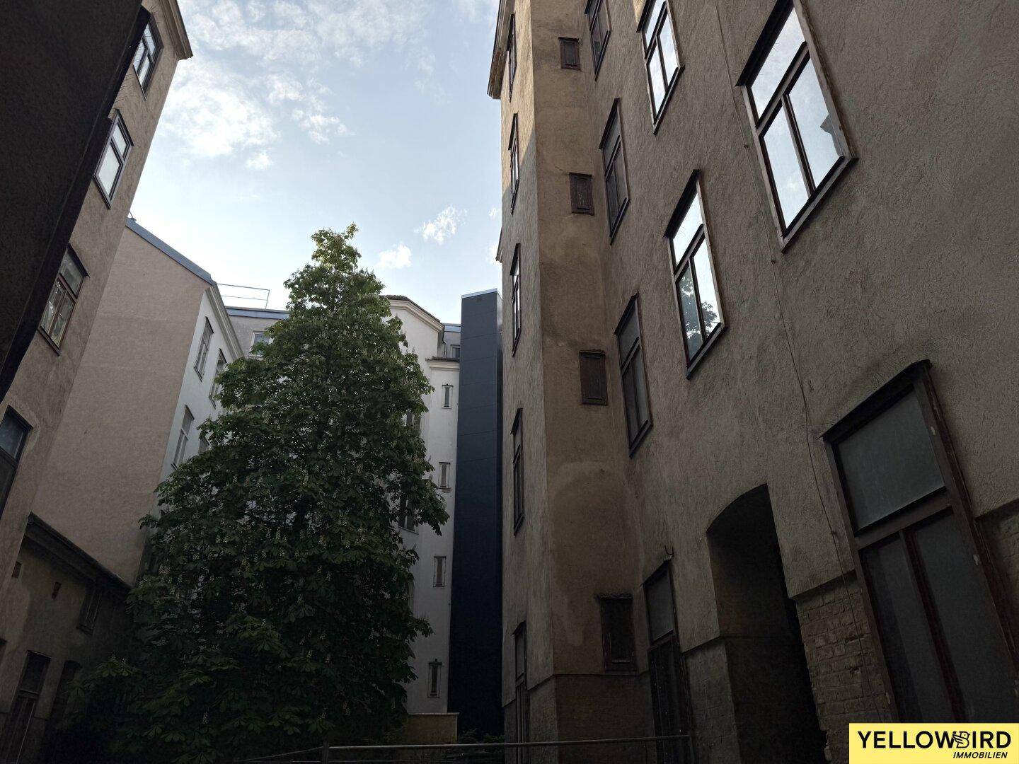 Blick in einen engen Innenhof zwischen hohen Altbauten mit einem großen grünen Baum.