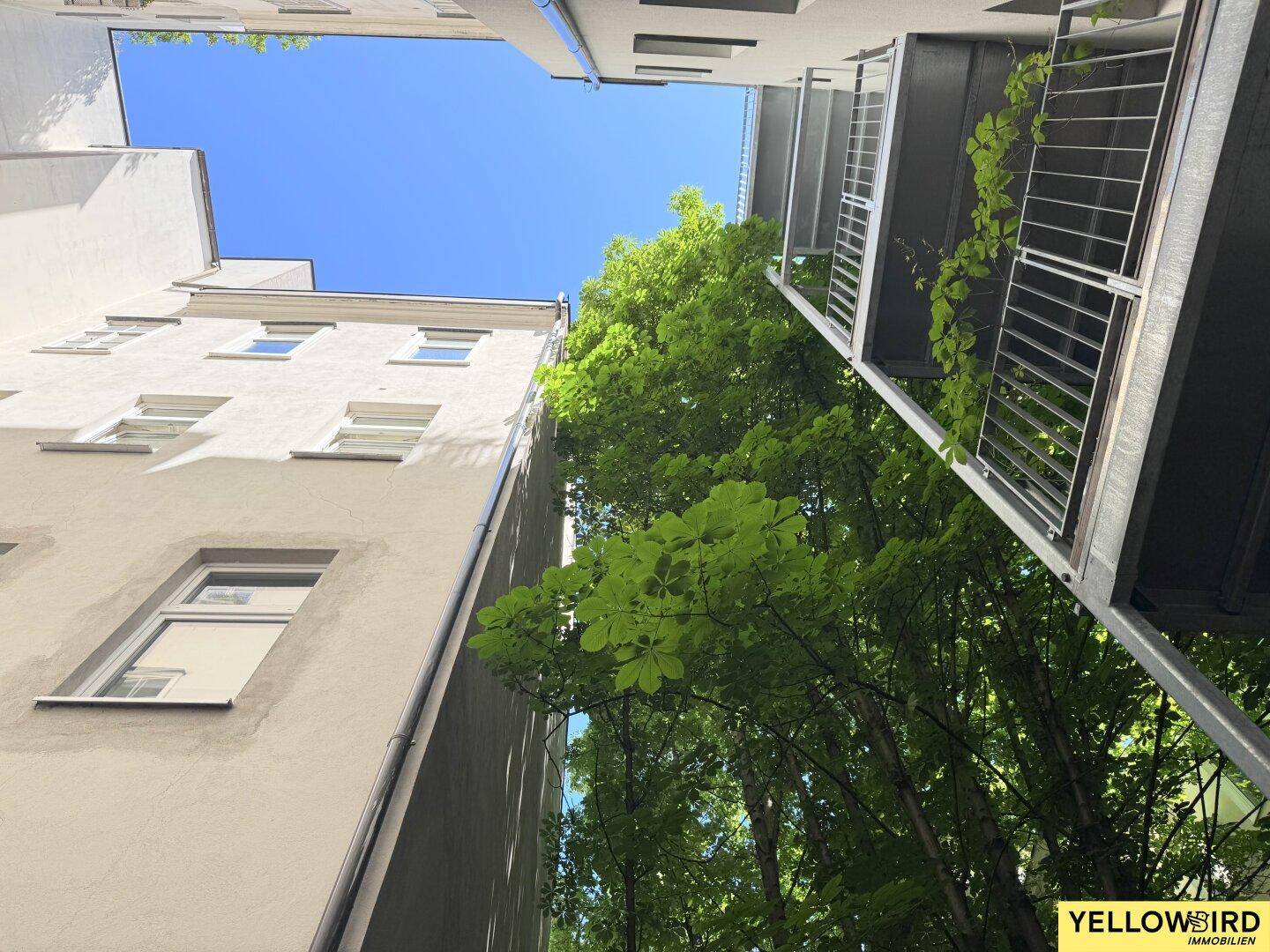 Blick nach oben auf die Gebäudefassaden und grüne Bäume unter blauem Himmel.