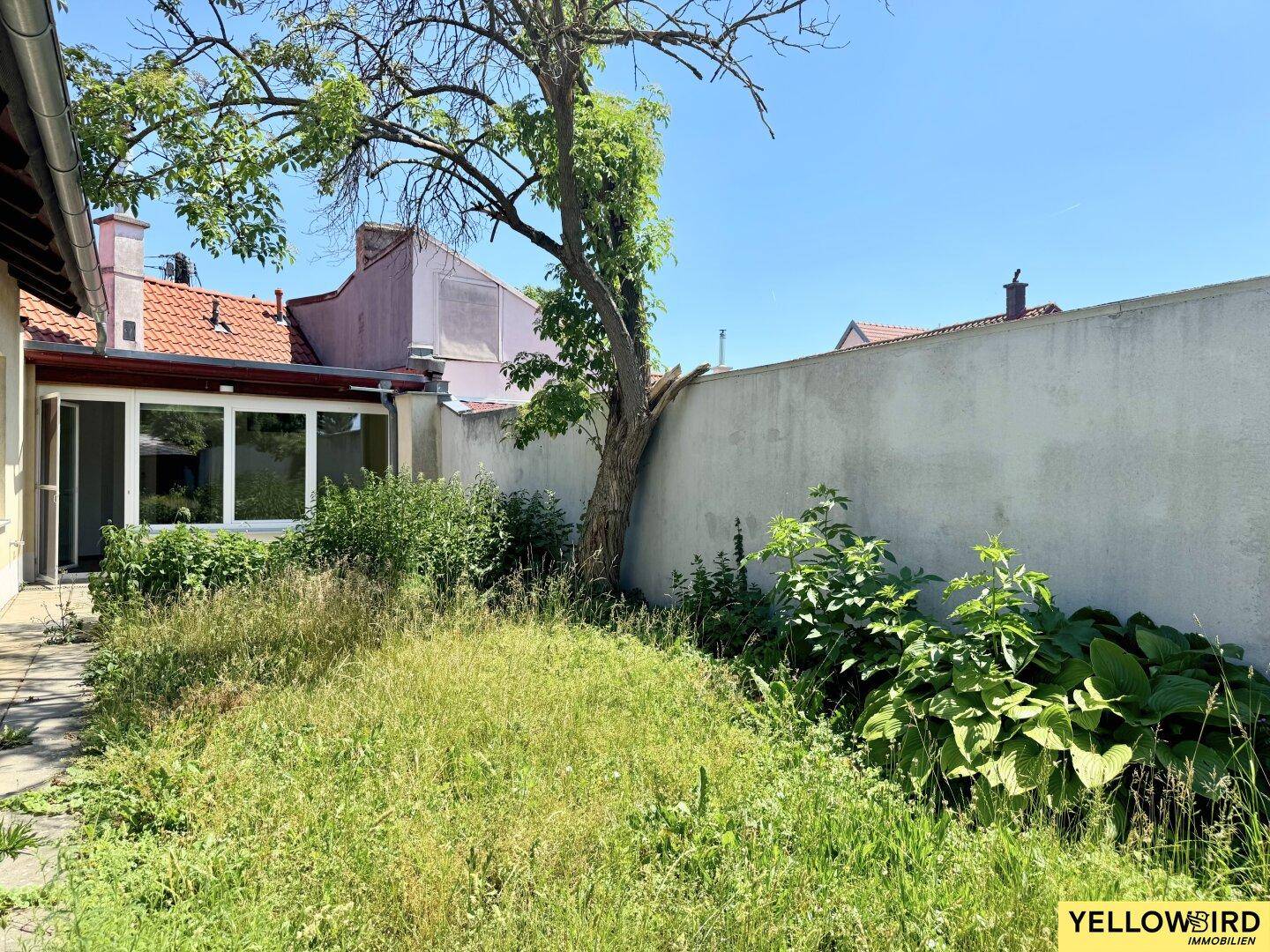 Verwilderter Gartenbereich mit altem Baumbestand und einer Mauer, die Privatsphäre bietet.
