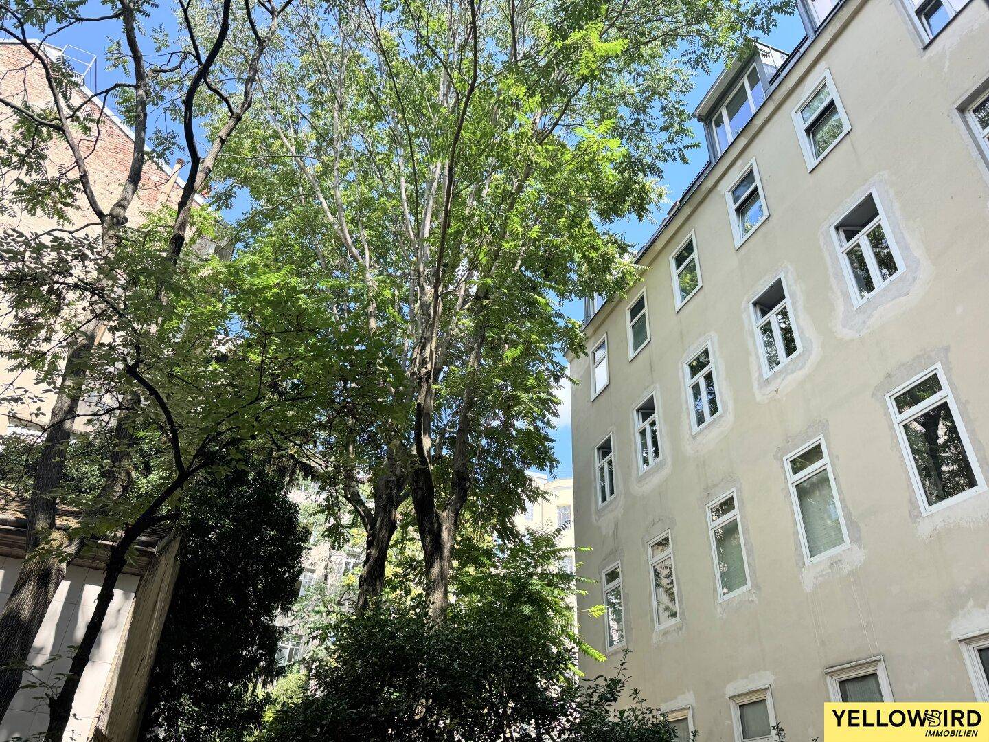 Grüne Umgebung mit hohen Bäumen und der Fassade eines Wohngebäudes im Hintergrund.