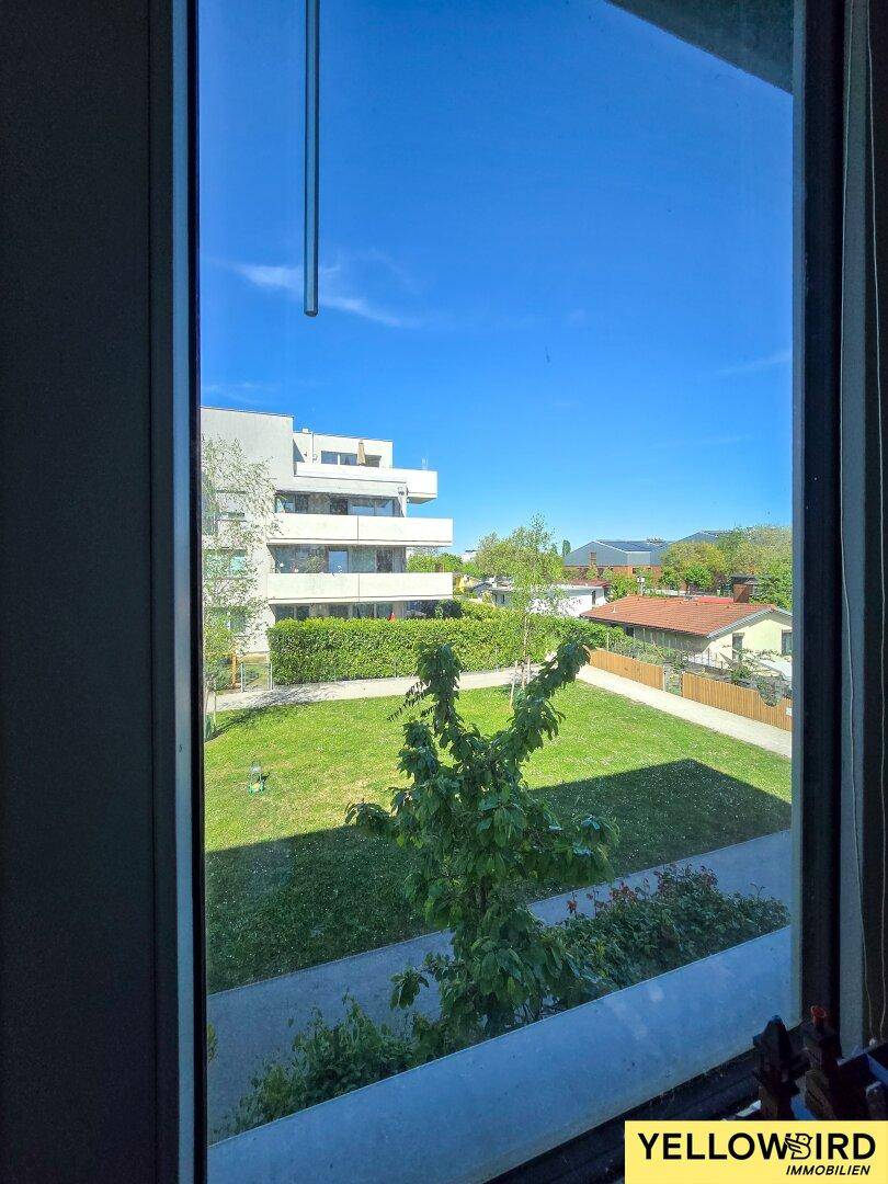 Blick aus dem Fenster auf einen gepflegten grünen Innenhof mit Bäumen und Wohngebäuden.