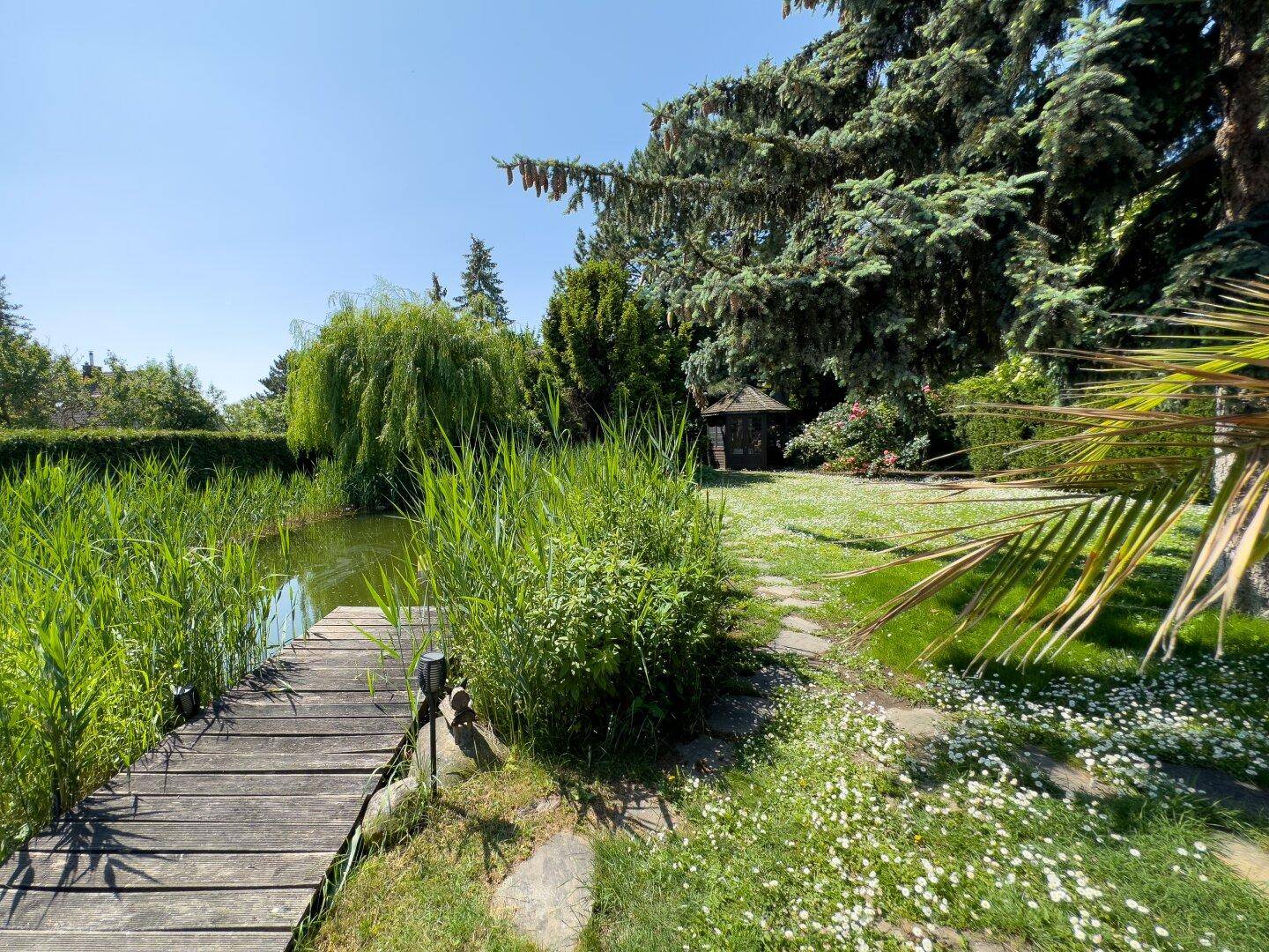 Stilvoll zeitloses Einfamilienhaus | 1220 Wien | 1000 m² Grundstück mit Schwimmteich - Ansicht 6