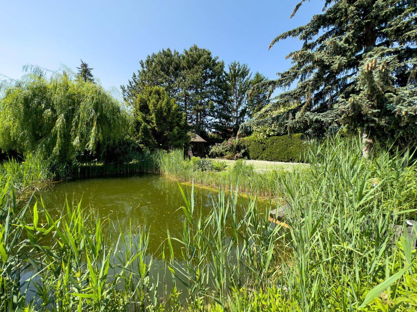 Stilvoll zeitloses Einfamilienhaus | 1220 Wien | 1000 m² Grundstück mit Schwimmteich - Mehr