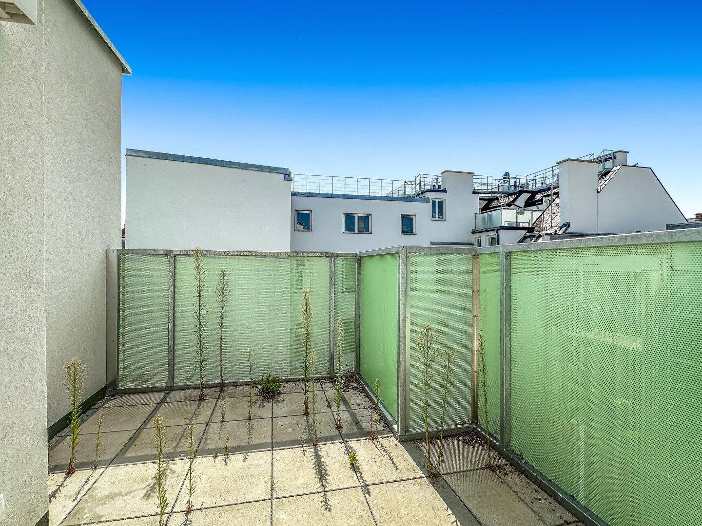 Geräumige Dachterrasse mit grünen Sichtschutzelementen und Blick auf die umliegenden Gebäude und den Himmel.