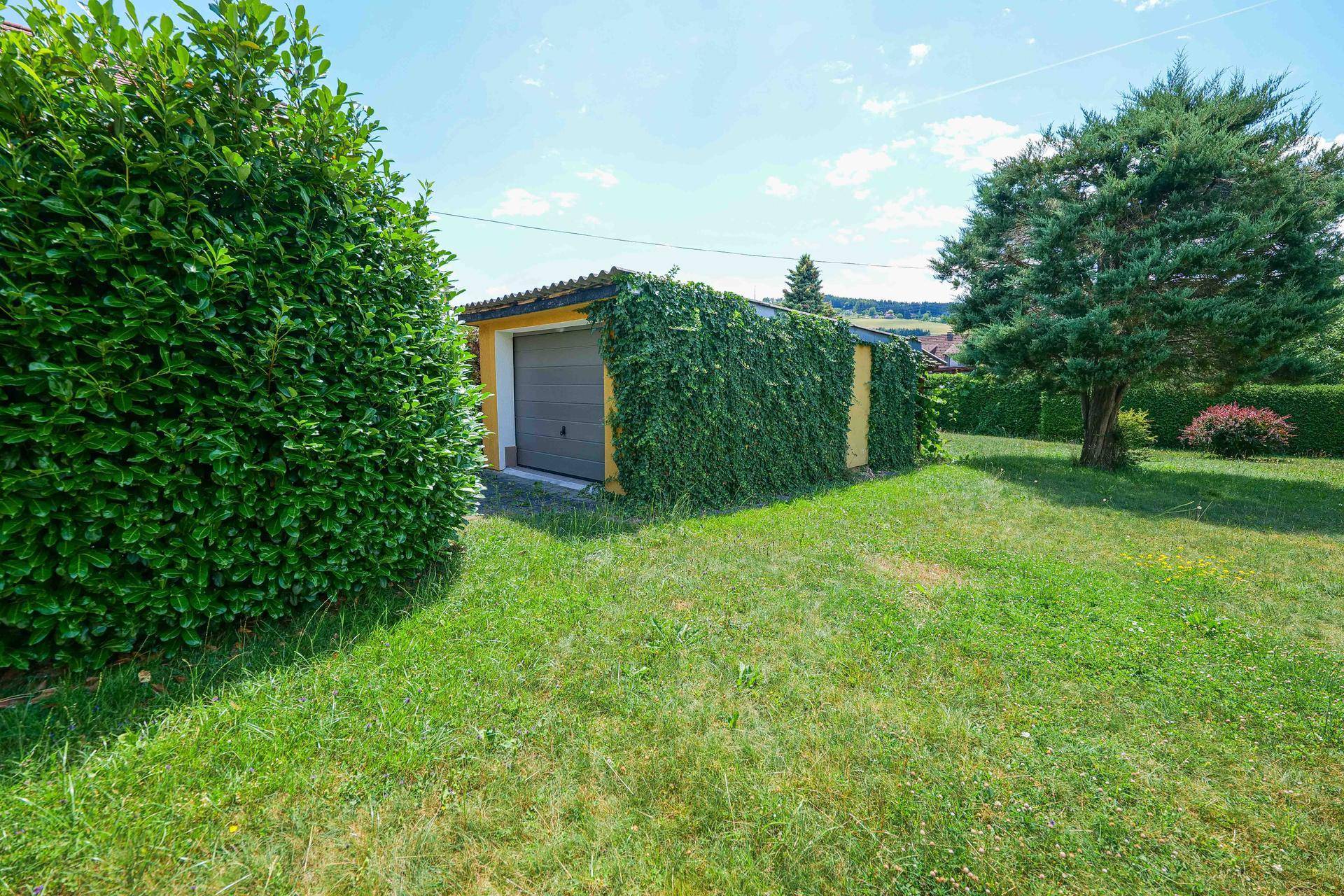 Freistehende Garage mit Efeu bewachsen, umgeben von Rasenfläche und einem großen Nadelbaum.