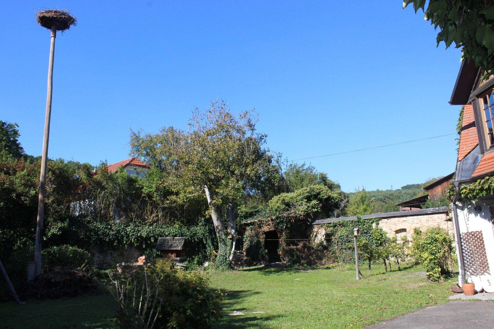 Weitläufiger Gartenbereich mit altem Baumbestand und einem Storchennest auf hohem Pfahl.